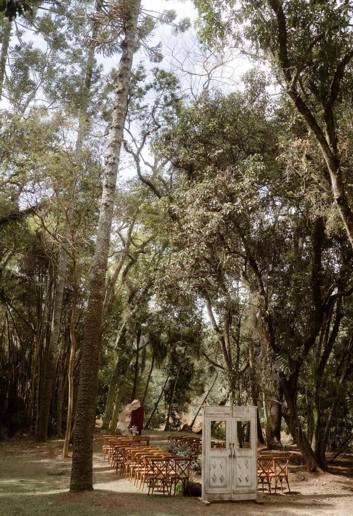Cerimônia no bosque com portas rústicas e árvores altas