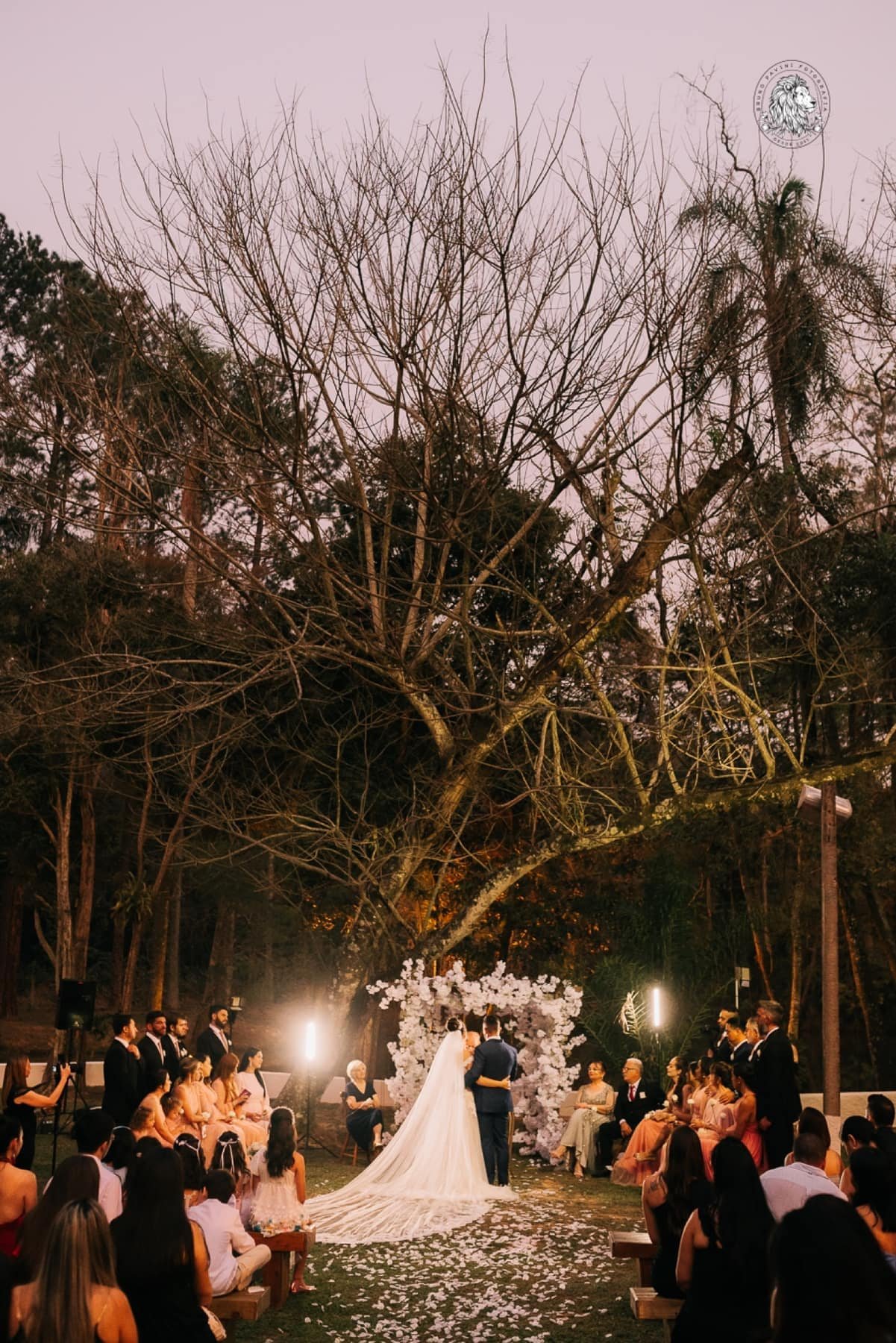 Cerimônia ao entardecer sob árvore iluminada