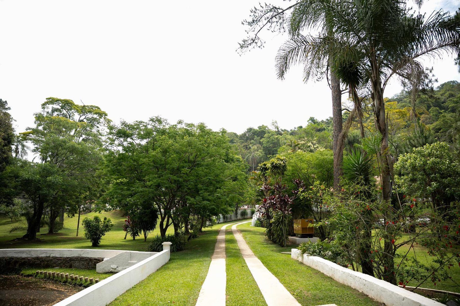 Caminho de entrada da Fazenda Moinho cercado por jardim e árvores