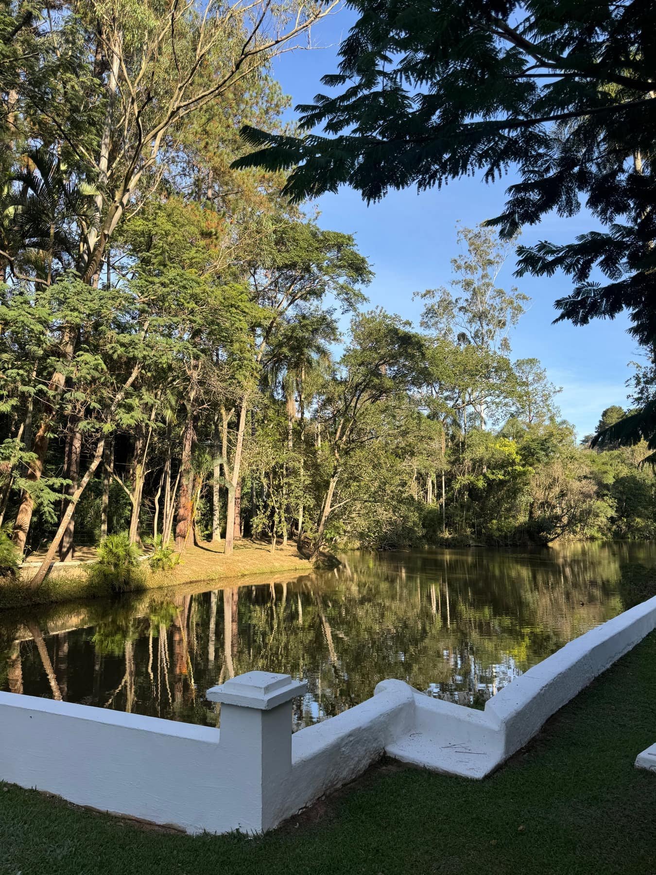 Lago da Fazenda cercado pela vegetação