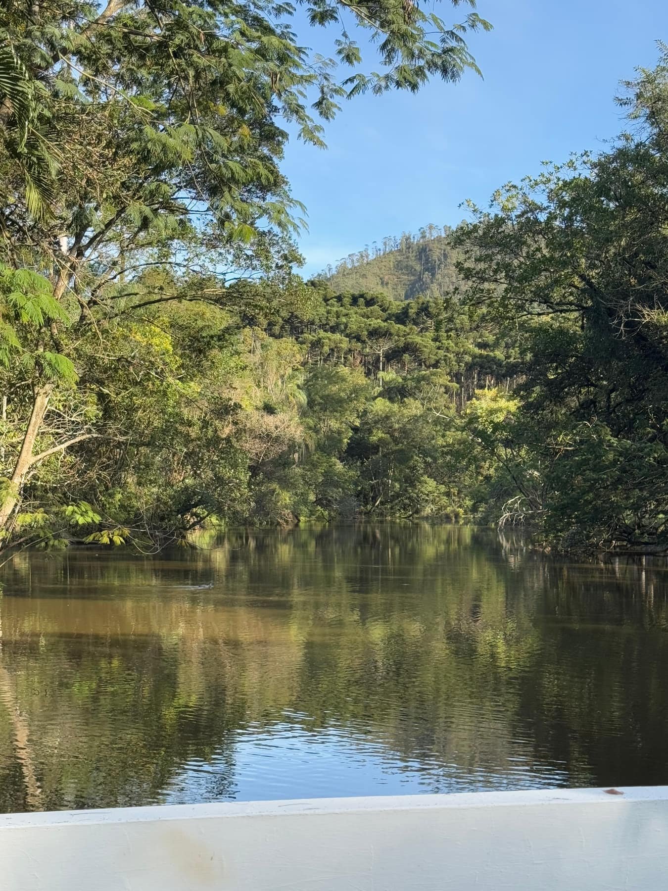 Lago da Fazenda com reflexo da mata