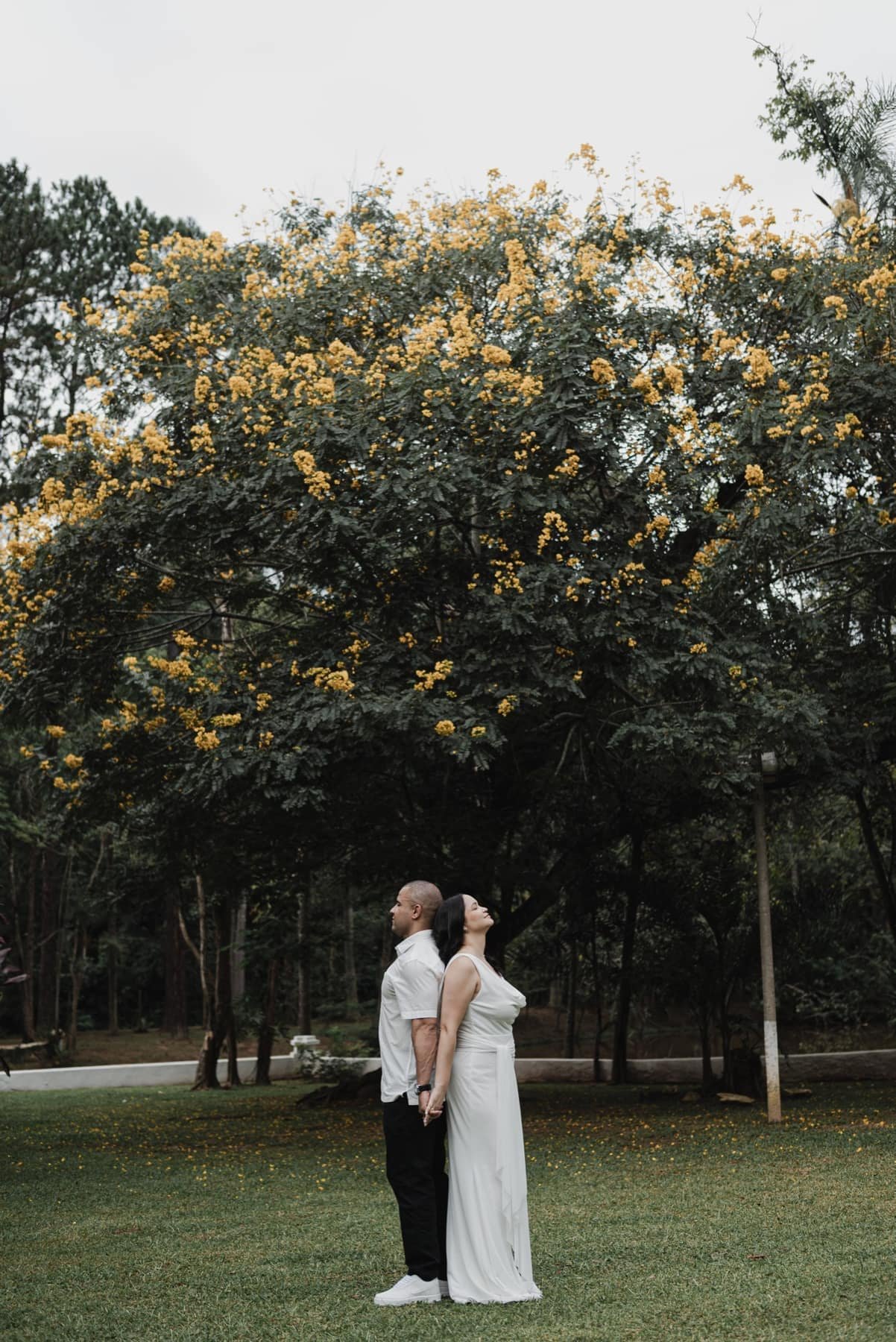 Casal em ensaio pré wedding sob árvore florida